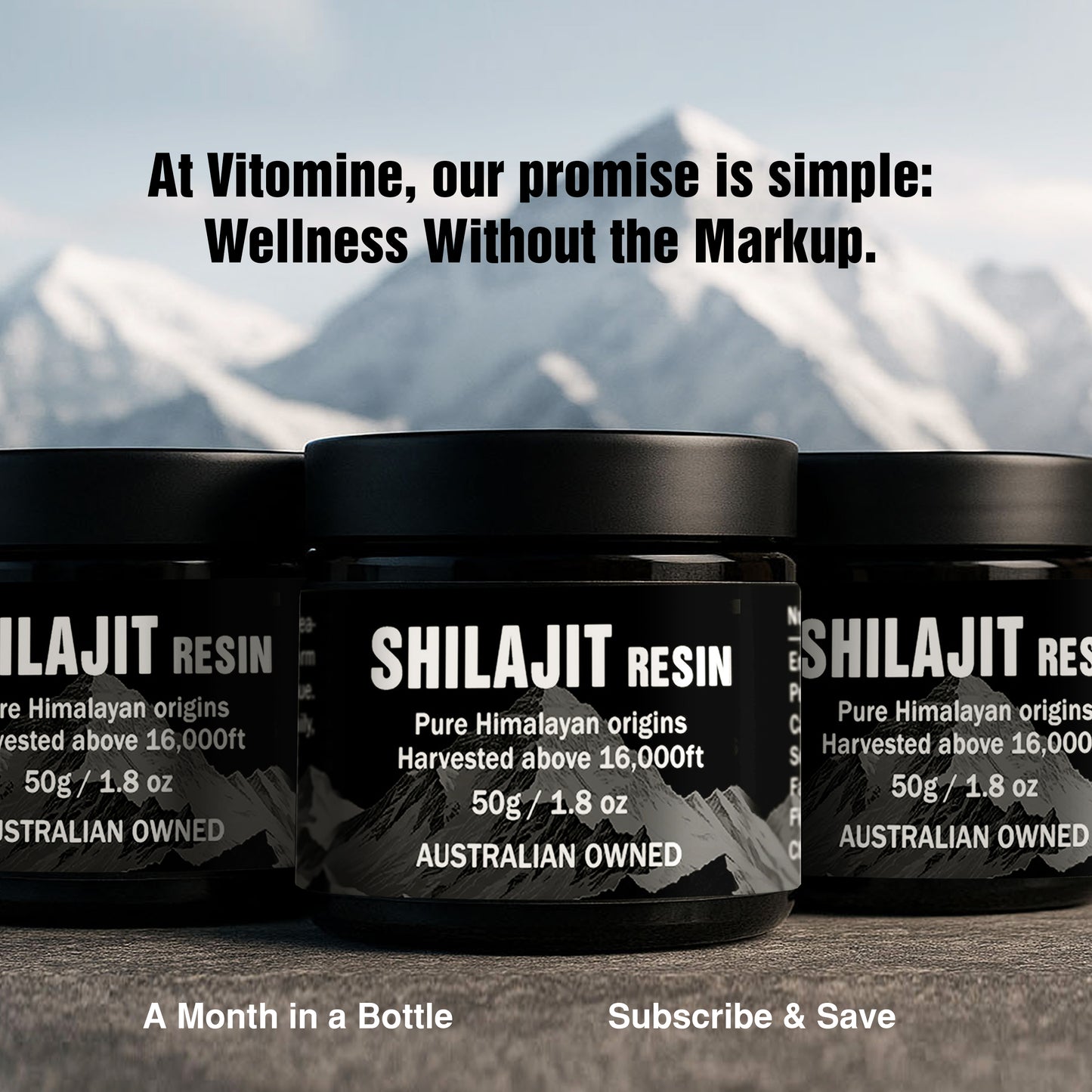 Shilajit Resin (50g)