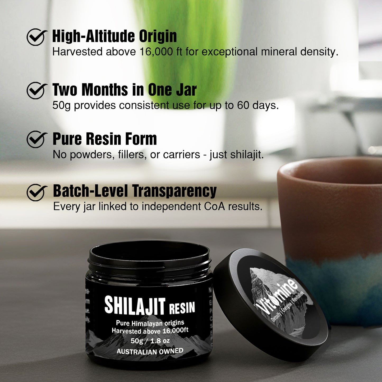 Shilajit Resin (50g)