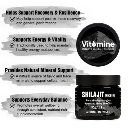 Shilajit Resin (50g)